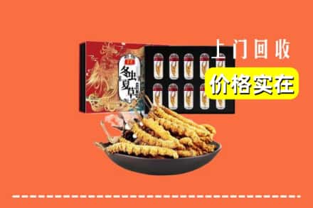 合山市回收虫草
